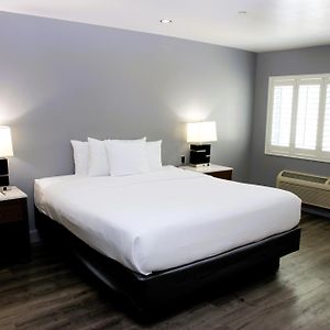 Large One Room Suite Non Smoking